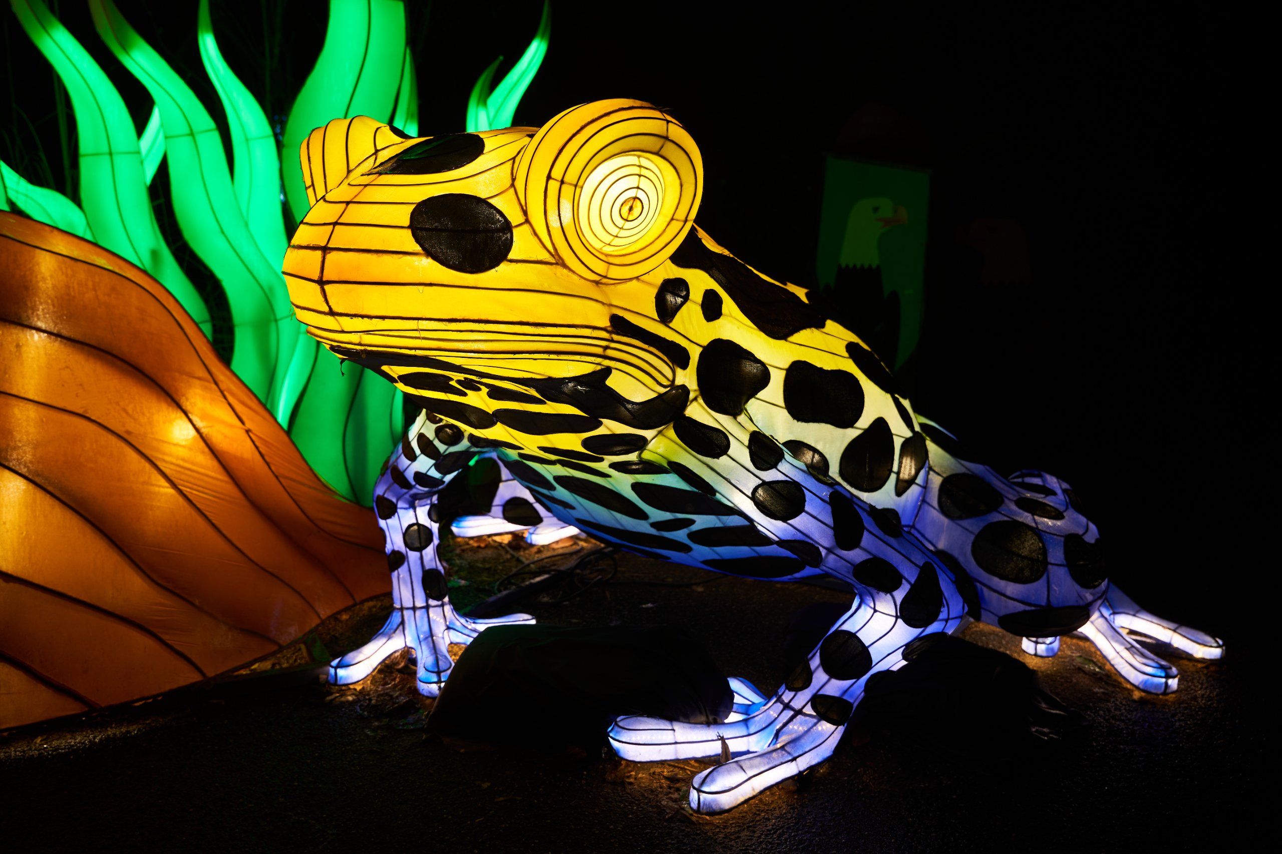 2024 01 03 Köln Zoo China Lights 1235